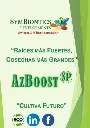 AzBoost